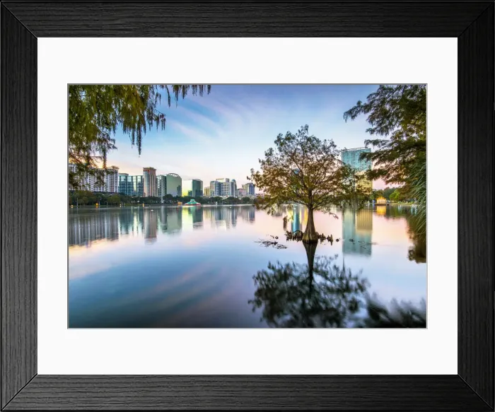 Framed Print : USA, Florida, Orlando, Lake Eola, Lake Eola Park, Cypress Tree, Downtown Skyline Framed Print : USA, Florida, Orlando, Lake Eola, Lake Eola Park, Cypress Tree, Downtown Skyline
