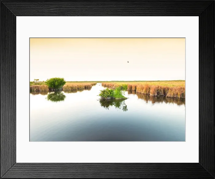 Framed Print : USA, Florida, Everglades, Sawgrass Prairies, River Of Grass, Everglades National Park Framed Print : USA, Florida, Everglades, Sawgrass Prairies, River Of Grass, Everglades National Park