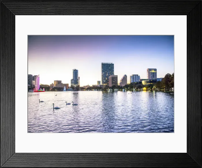 Framed Print : USA, Florida, Orlando, Lake Eola, Lake Eola Park, Swans, Downtown Skyline Framed Print : USA, Florida, Orlando, Lake Eola, Lake Eola Park, Swans, Downtown Skyline