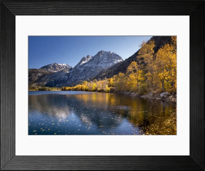 Framed Print : Fall colours along the banks of Silver Lake, with Mt Carson beyond, Sierra Nevadas Framed Print : Fall colours along the banks of Silver Lake, with Mt Carson beyond, Sierra Nevadas