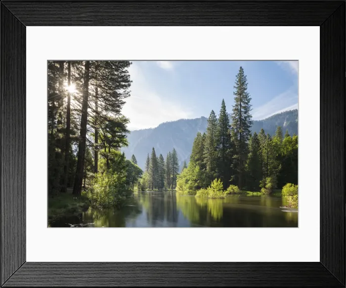 Framed Print : Flooded banks of the River Merced in Yosemite Valley, California, USA. Spring (June) 2016