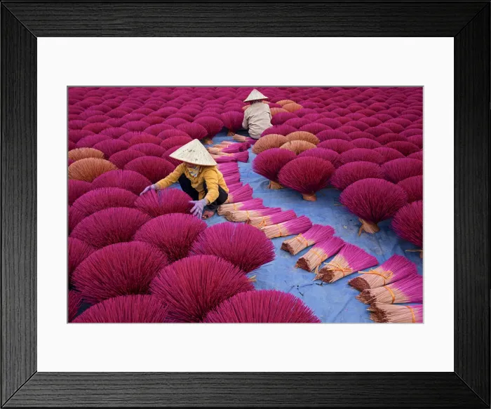 Framed Print : Incense workers sits surrounded by thousands of incense sticks in Quang Phu Cau, Hanoi Framed Print : Incense workers sits surrounded by thousands of incense sticks in Quang Phu Cau, Hanoi