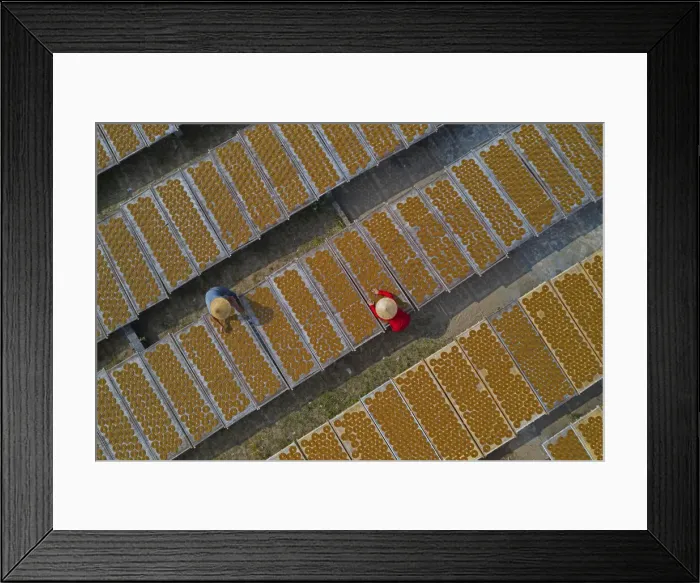 Framed Print : People dries incense in preparation for Tet, the traditional Vietnamese festival in Hong Framed Print : People dries incense in preparation for Tet, the traditional Vietnamese festival in Hong