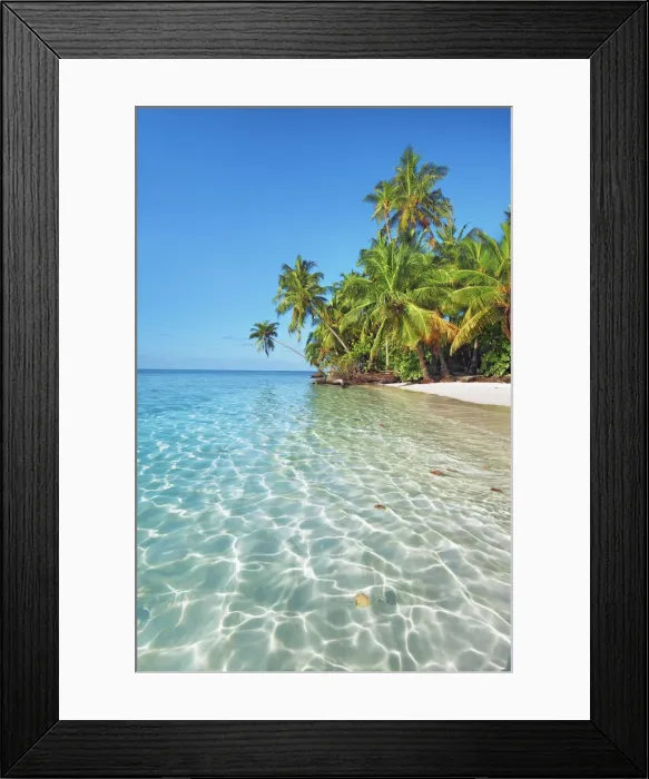 Framed Print : Palm trees and tropical beach - Maldives, Nord Nilandhe Atoll, Filitheyo Framed Print : Palm trees and tropical beach - Maldives, Nord Nilandhe Atoll, Filitheyo