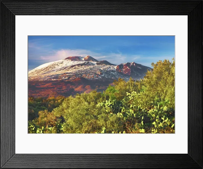 Framed Print : Cactus dryland at Etna - Italy, Sicily, Catania, Belpasso Framed Print : Cactus dryland at Etna - Italy, Sicily, Catania, Belpasso