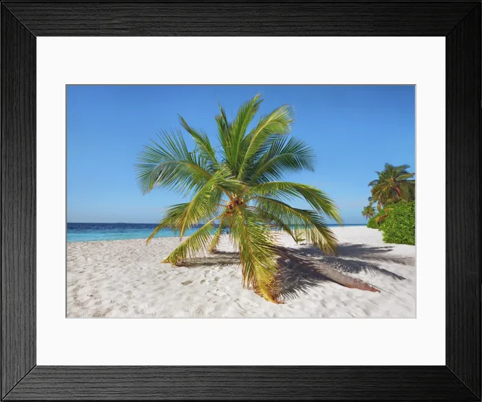 Framed Print : Palm trees and tropical beach - Maldives, Nord Nilandhe Atoll, Filitheyo