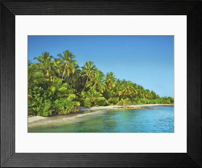 Framed Print : Coconutpalm shore - Maldives, Nord Nilandhe Atoll, Filitheyo Framed Print : Coconutpalm shore - Maldives, Nord Nilandhe Atoll, Filitheyo