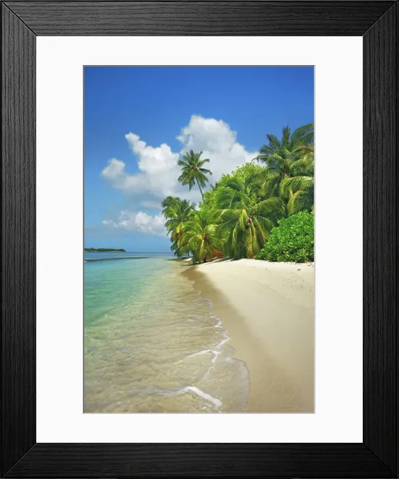 Framed Print : Palm trees and tropical beach - Maldives, Baa Atoll, Kunfunadhoo - Soneva Fushi Framed Print : Palm trees and tropical beach - Maldives, Baa Atoll, Kunfunadhoo - Soneva Fushi