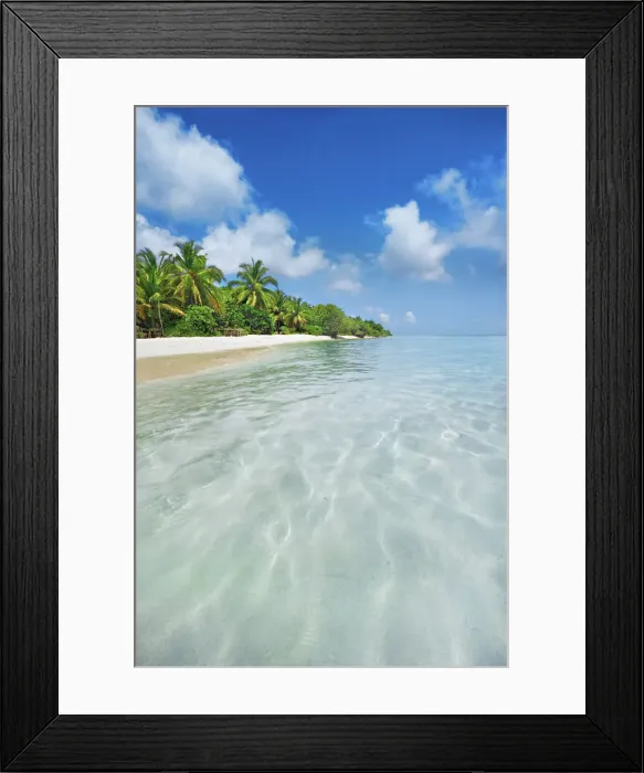Framed Print : Palm trees and tropical beach - Maldives, Baa Atoll, Kunfunadhoo - Soneva Fushi Framed Print : Palm trees and tropical beach - Maldives, Baa Atoll, Kunfunadhoo - Soneva Fushi