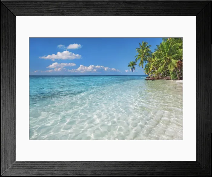 Framed Print : Tropical lagoon with palms - Maldives, Nord Nilandhe Atoll, Filitheyo Framed Print : Tropical lagoon with palms - Maldives, Nord Nilandhe Atoll, Filitheyo
