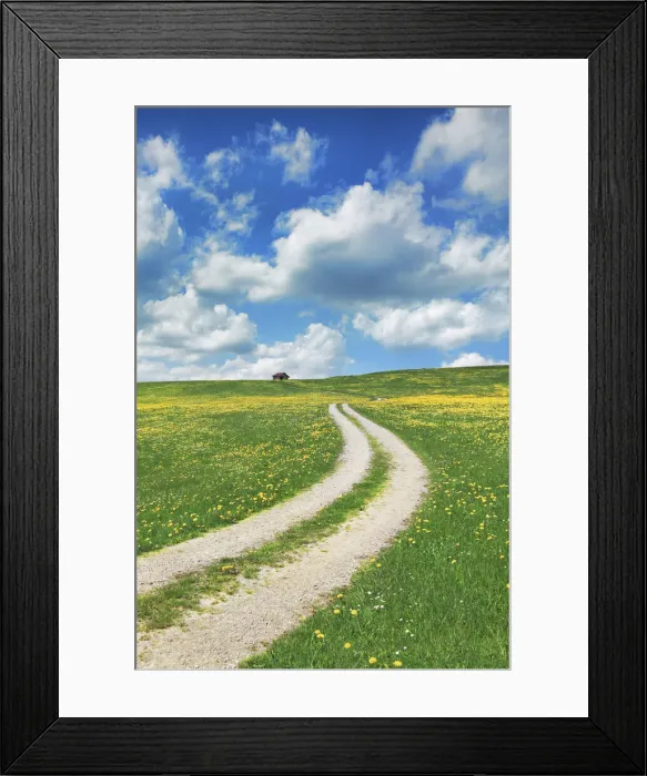 Framed Print : Field path with dandelions - Germany, Bavaria, Swabia, OstAllgau, Halblech