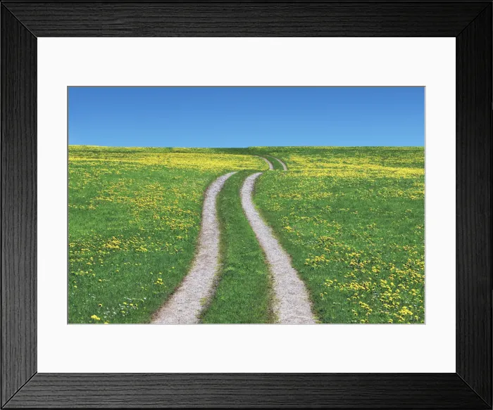 Framed Print : Field path and dandelions - Germany, Bavaria, Upper Bavaria, Weilheim-Schongau, Penzberg Framed Print : Field path and dandelions - Germany, Bavaria, Upper Bavaria, Weilheim-Schongau, Penzberg