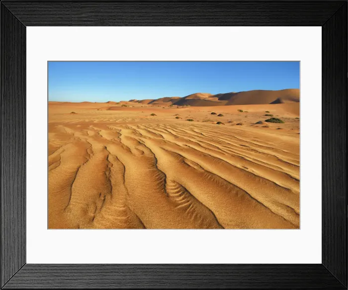 Framed Print : Dune landscape in Namib with fog - Namibia, Hardap, Dorob National Park Framed Print : Dune landscape in Namib with fog - Namibia, Hardap, Dorob National Park