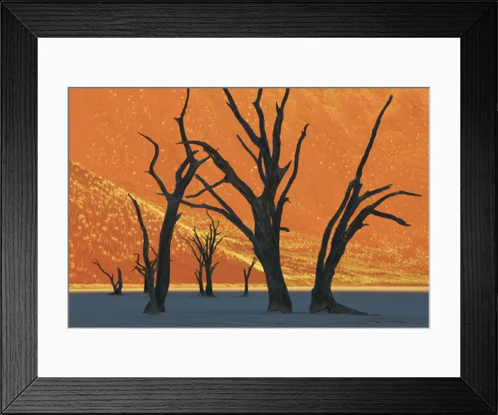 Framed Print : Dune impression with dead trees in Dead Vlei - Namibia, Hardap, Namib Framed Print : Dune impression with dead trees in Dead Vlei - Namibia, Hardap, Namib