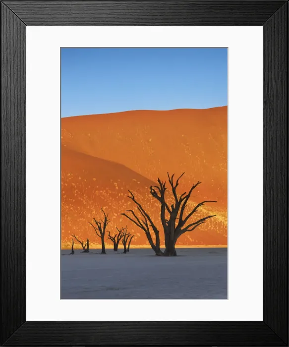 Framed Print : Dune impression with dead trees in Dead Vlei - Namibia, Hardap, Namib Framed Print : Dune impression with dead trees in Dead Vlei - Namibia, Hardap, Namib