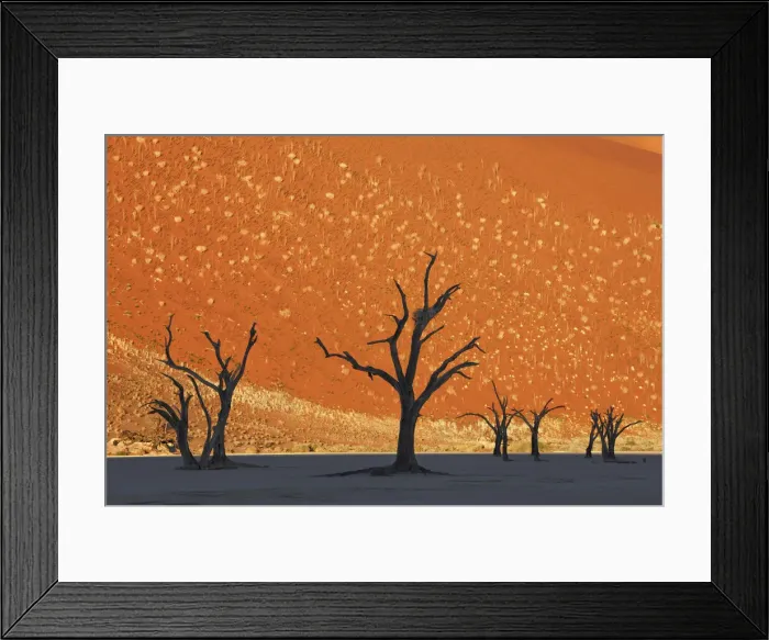 Framed Print : Dune impression with dead trees in Dead Vlei - Namibia, Hardap, Namib Framed Print : Dune impression with dead trees in Dead Vlei - Namibia, Hardap, Namib