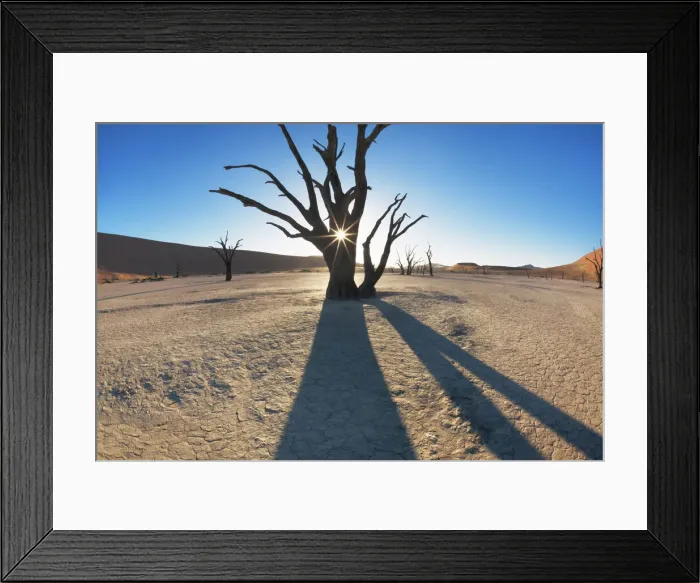 Framed Print : Dead tree in Dead Vlei - Namibia, Hardap, Namib, Dead Vlei - Namib Naukluft National Park Framed Print : Dead tree in Dead Vlei - Namibia, Hardap, Namib, Dead Vlei - Namib Naukluft National Park