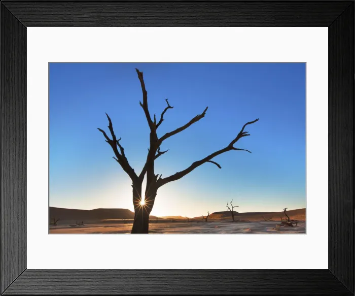 Framed Print : Dead tree in Dead Vlei - Namibia, Hardap, Namib, Dead Vlei - Namib Naukluft National Park Framed Print : Dead tree in Dead Vlei - Namibia, Hardap, Namib, Dead Vlei - Namib Naukluft National Park
