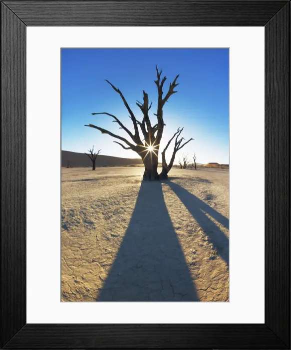 Framed Print : Dead tree in Dead Vlei - Namibia, Hardap, Namib, Dead Vlei - Namib Naukluft National Park