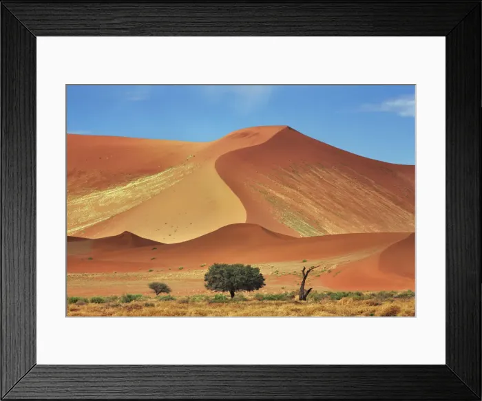 Framed Print : Dune impression with acacia in Namib - Namibia, Hardap, Namib Framed Print : Dune impression with acacia in Namib - Namibia, Hardap, Namib