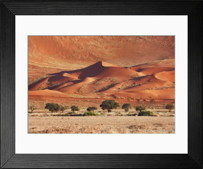 Framed Print : Dune impression with acacias in Namib - Namibia, Hardap, Namib Framed Print : Dune impression with acacias in Namib - Namibia, Hardap, Namib