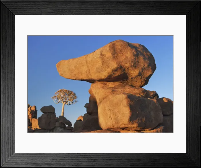 Framed Print : Quiver tree (Kokerboom) and bizarr rocks - Namibia, Karas, Keetmanshoop Framed Print : Quiver tree (Kokerboom) and bizarr rocks - Namibia, Karas, Keetmanshoop