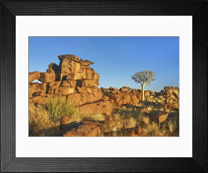Framed Print : Quiver tree (Kokerboom) and bizarr rocks - Namibia, Karas, Keetmanshoop Framed Print : Quiver tree (Kokerboom) and bizarr rocks - Namibia, Karas, Keetmanshoop