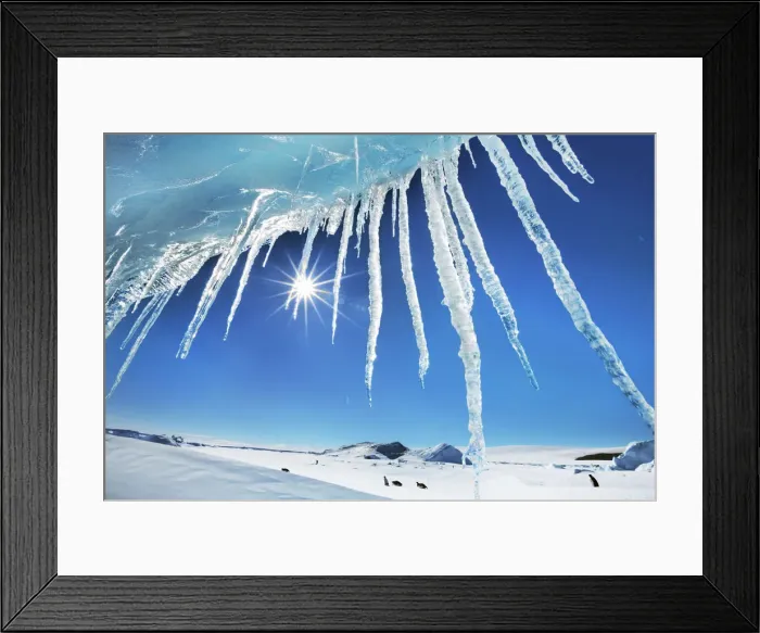 Framed Print : Icicle at iceberg - Antarctica, Antarctic Peninsula, Snowhill Island Framed Print : Icicle at iceberg - Antarctica, Antarctic Peninsula, Snowhill Island