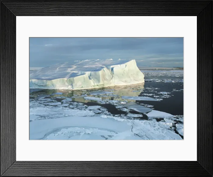 Framed Print : Iceberg - Antarctica, Antarctic Peninsula, Snowhill Island Framed Print : Iceberg - Antarctica, Antarctic Peninsula, Snowhill Island