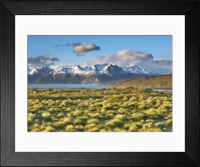 Framed Print : Pampa landscape at Lago Viedma - Argentina, Santa Cruz, Los Glaciares, El Chalten