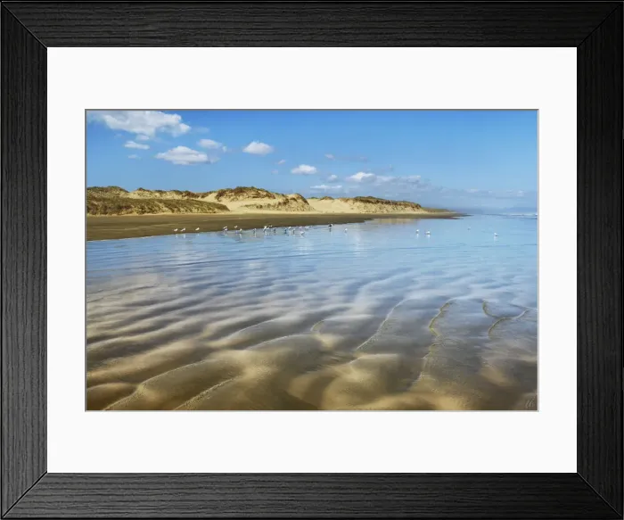 Framed Print : Coast landscape with seagulls - New Zealand, North Island, Northland, Far North Framed Print : Coast landscape with seagulls - New Zealand, North Island, Northland, Far North