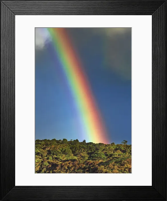 Framed Print : Rainbow - New Zealand, South Island, Southland, Slope Point Framed Print : Rainbow - New Zealand, South Island, Southland, Slope Point