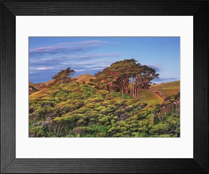 Framed Print : Coast landscape - New Zealand, South Island, Tasman, Golden Bay, Puponga, Wharariki Beach Framed Print : Coast landscape - New Zealand, South Island, Tasman, Golden Bay, Puponga, Wharariki Beach