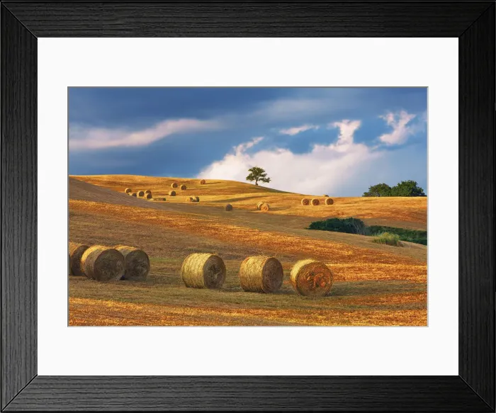 Framed Print : Hay ball on mown meadow - Italy, Tuscany, Siena, Buonconvento Framed Print : Hay ball on mown meadow - Italy, Tuscany, Siena, Buonconvento