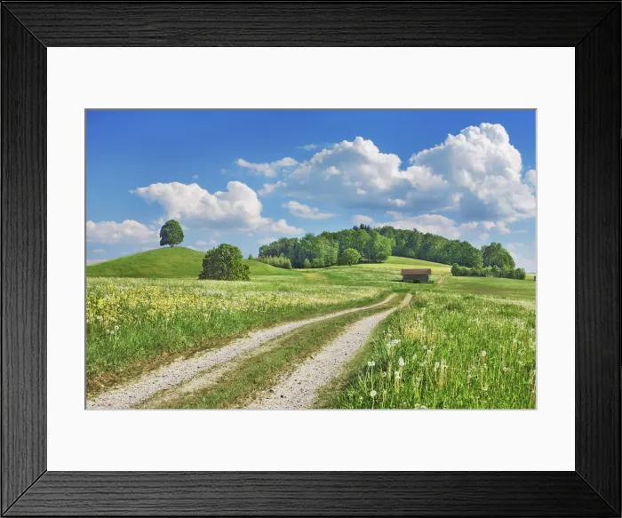 Framed Print : Field path durch dandelion meadow - Germany, Bavaria, Upper Bavaria Framed Print : Field path durch dandelion meadow - Germany, Bavaria, Upper Bavaria
