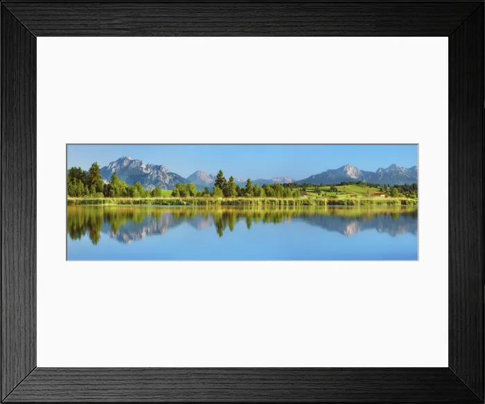 Framed Print : Birch forest with irrigation channel - Germany, Brandenburg, Oberspreewald-Lausitz, Oberspreewald, Lübbenau - Wotschofska Framed Print : Birch forest with irrigation channel - Germany, Brandenburg, Oberspreewald-Lausitz, Oberspreewald, Lübbenau - Wotschofska
