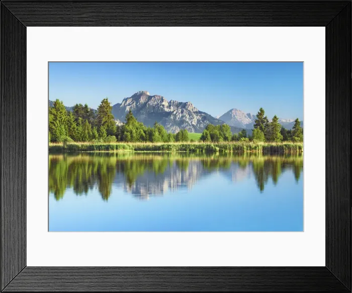 Framed Print : Birch forest with irrigation channel - Germany, Brandenburg, Oberspreewald-Lausitz, Oberspreewald, Lübbenau - Wotschofska Framed Print : Birch forest with irrigation channel - Germany, Brandenburg, Oberspreewald-Lausitz, Oberspreewald, Lübbenau - Wotschofska