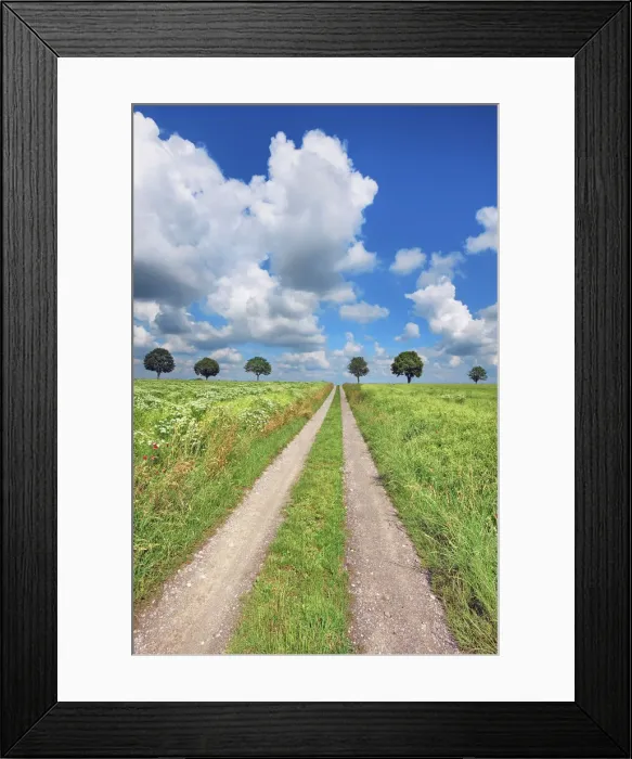 Framed Print : Field path and maple alley - Germany, Bavaria, Upper Bavaria, Freising, Giggenhausen Framed Print : Field path and maple alley - Germany, Bavaria, Upper Bavaria, Freising, Giggenhausen