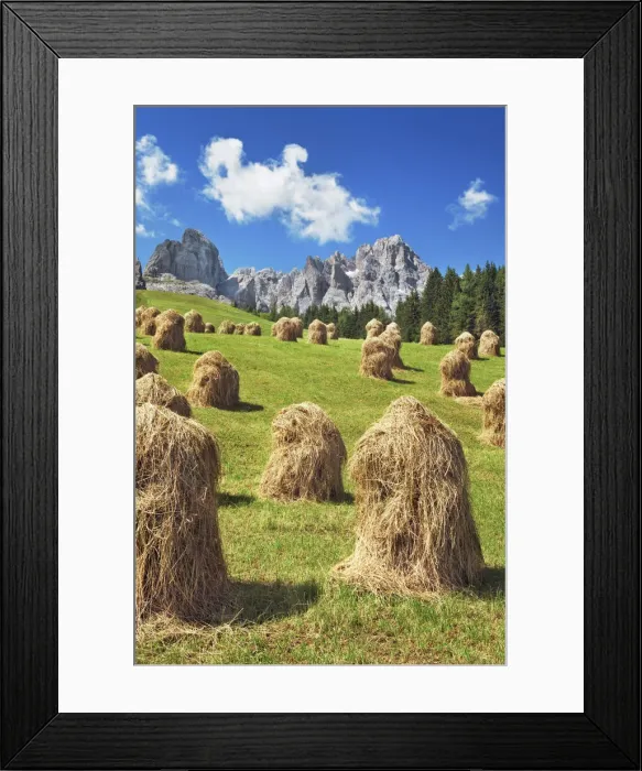 Framed Print : Hay harvest in the Dolomites - Italy, Veneto, Belluno, Sexten Dolomites Framed Print : Hay harvest in the Dolomites - Italy, Veneto, Belluno, Sexten Dolomites