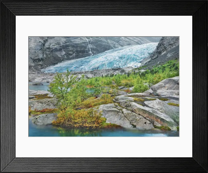 Framed Print : Glacier tongue Nigardsbreen with birches - Norway, Sogn og Fjordane, Jostedalsbreen Framed Print : Glacier tongue Nigardsbreen with birches - Norway, Sogn og Fjordane, Jostedalsbreen