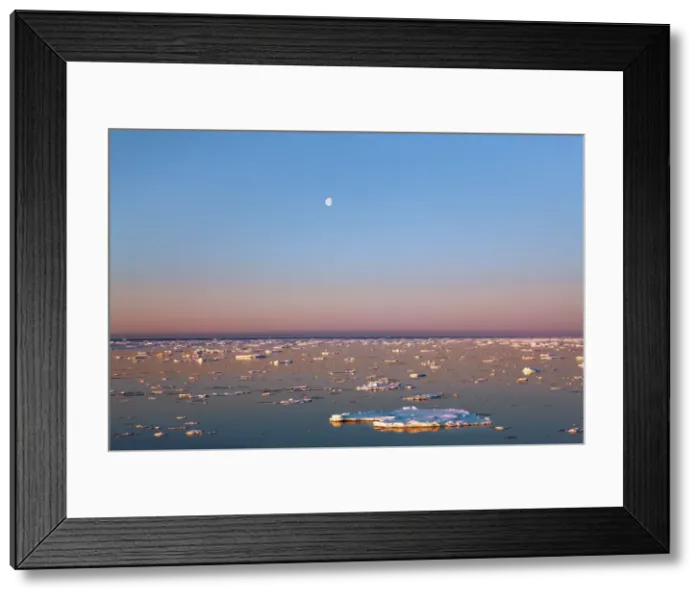 Framed Print : Drift ice and moon - Greenland, Northeast Greenland National Park, Gael Hamkes Bay Framed Print : Drift ice and moon - Greenland, Northeast Greenland National Park, Gael Hamkes Bay