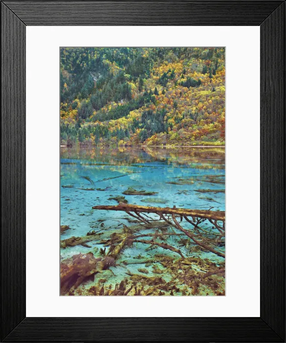 Framed Print : Karst lake Peacock Lake and forest in autumn - China, Sichuan, Jiuzhaigou, Peacock Lake Framed Print : Karst lake Peacock Lake and forest in autumn - China, Sichuan, Jiuzhaigou, Peacock Lake