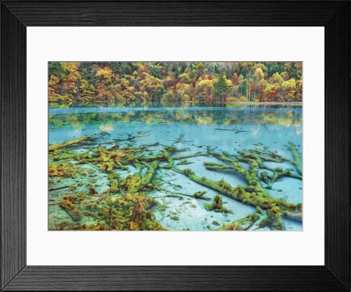 Framed Print : Karst lake Peacock Lake and forest in autumn - China, Sichuan, Jiuzhaigou, Peacock Lake