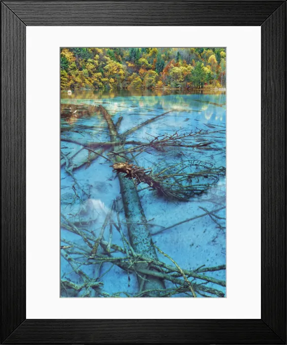 Framed Print : Karst lake Peacock Lake and forest in autumn - China, Sichuan, Jiuzhaigou, Peacock Lake