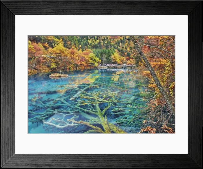 Framed Print : Karst lake Peacock Lake and forest in autumn - China, Sichuan, Jiuzhaigou, Peacock Lake
