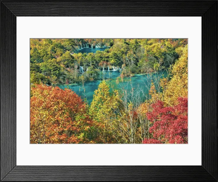 Framed Print : Deciduous forest in autumn colours at Shuzheng Lakes - China, Sichuan, Jiuzhaigou Framed Print : Deciduous forest in autumn colours at Shuzheng Lakes - China, Sichuan, Jiuzhaigou