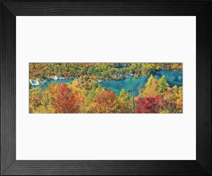 Framed Print : Deciduous forest in autumn colours at Shuzheng Lakes - China, Sichuan, Jiuzhaigou Framed Print : Deciduous forest in autumn colours at Shuzheng Lakes - China, Sichuan, Jiuzhaigou