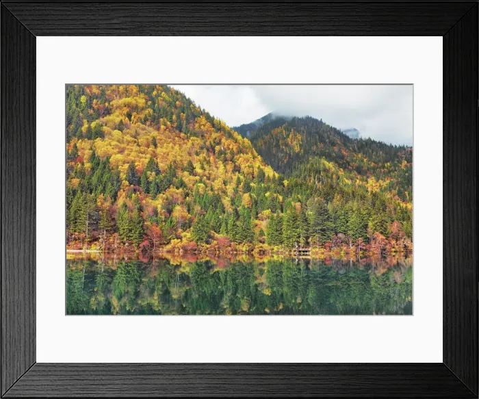 Framed Print : Mountain lake and forest in autumn - China, Sichuan, Jiuzhaigou, Arrow Bamboo Lake Framed Print : Mountain lake and forest in autumn - China, Sichuan, Jiuzhaigou, Arrow Bamboo Lake