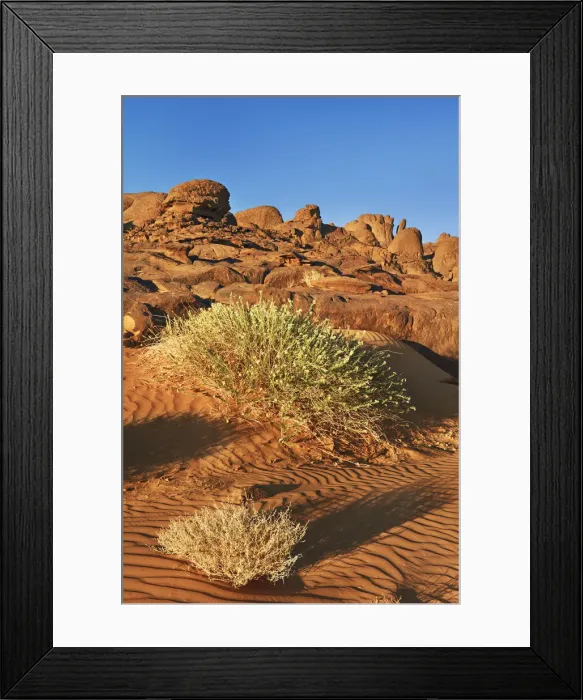 Framed Print : Erosion landscape in Tassili du Hoggar - Algeria, Tassili Hoggar, El Ghessour - Sahara Framed Print : Erosion landscape in Tassili du Hoggar - Algeria, Tassili Hoggar, El Ghessour - Sahara