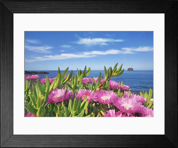 Framed Print : Elands sourfig - Italy, Sicily, Messina, Eolian Islands, Stromboli, south shore